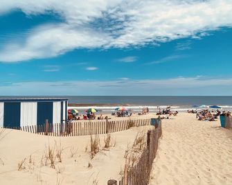 336 Hickman Street by Long & Foster - Rehoboth Beach - Beach