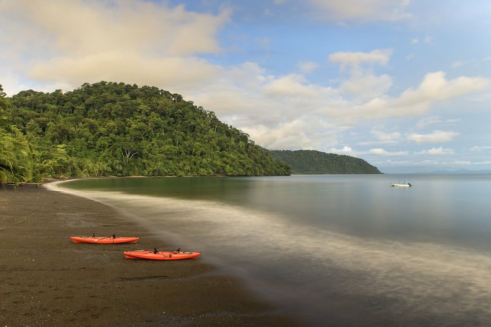 Playa Nicuesa Rainforest Eco Sanctuary - Golfito - Playa