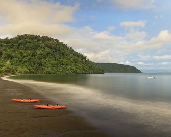 Playa Nicuesa Rainforest Eco Sanctuary - Golfito - Strand