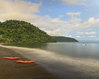 Playa Nicuesa Rainforest Eco Sanctuary - Golfito - Playa