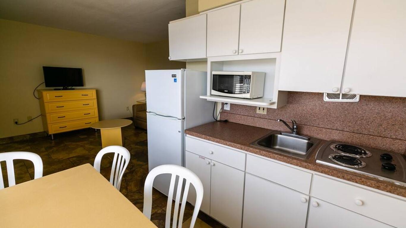 American Safari Motel