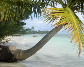 Traditional house rosewood on the island with mats - Ile aux Nattes - Playa