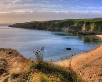 Seashells B&B - Duncannon