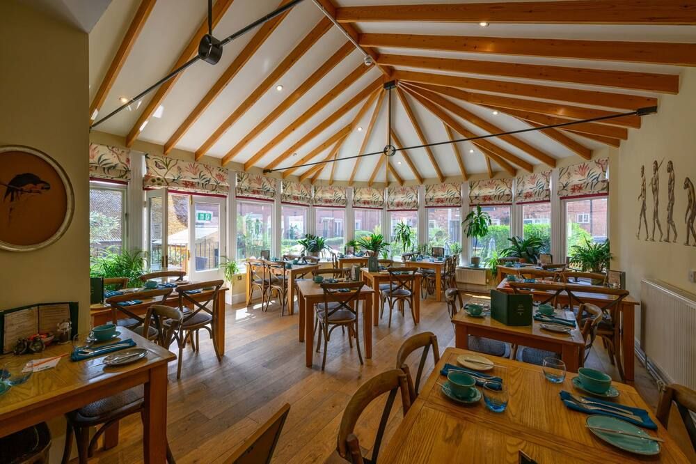 داروينز تاونهاوس