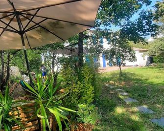 Villa in Saint Julien le Montagnier, in the Verdon natural park (Var. 83) - Saint-Julien - Patio