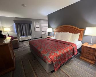 American Inn and Suites Ionia - Ionia - Bedroom