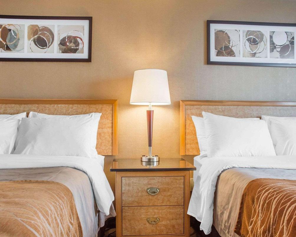 Comfort Inn Brantford Brantford Compare Deals