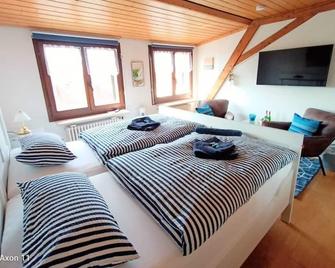 Bodensee Privatzimmer 'Haus Am Weinberg Konstanz' - Konstancja - Sypialnia