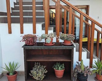 Surfers Paradise - Casa Caro - Punta Negra