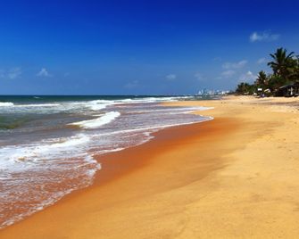 Frangipani - Dehiwala-Mount Lavinia - Playa