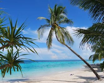 Malapascua Exotic Island Dive and Beach Resort - Daanbantayan - Beach