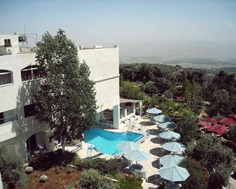 Olive Branch Hotel - Jerash - Piscina