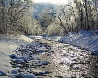 Luxury Chalet Magnifique Peaceful Retreat On Mountain Brook .. In Glen Sutton - Sutton - Property amenity