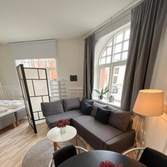 130m2 Lux Apartment on the pedestrian street – Aalborg