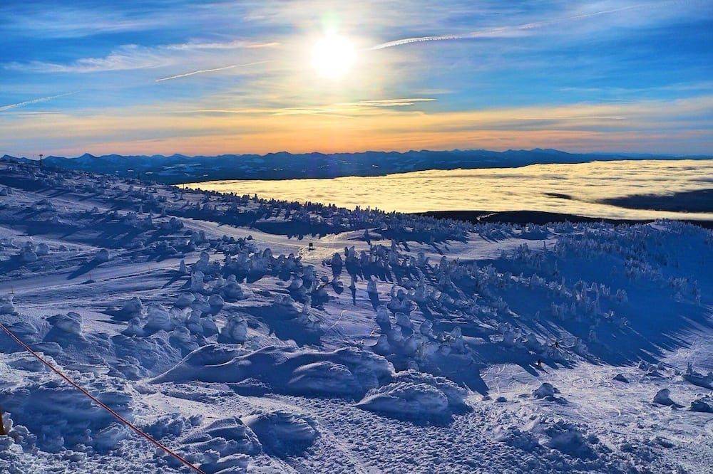Cozy Big White Ski-In 1-Bedroom Condo. Sleeps 4-6+. Renovated! Pet-Friendly - Big White