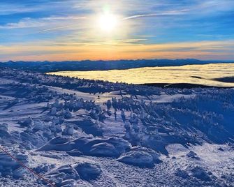 Cozy Big White Ski-In 1-Bedroom Condo. Sleeps 4-6+. Renovated! Pet-Friendly - Big White