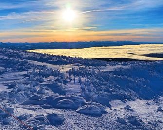 Cozy Big White Ski-In 1-Bedroom Condo. Sleeps 4-6+. Renovated! Pet-Friendly - Big White