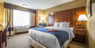 Comfort Inn Grand Junction I-70 - Grand Junction - Bedroom