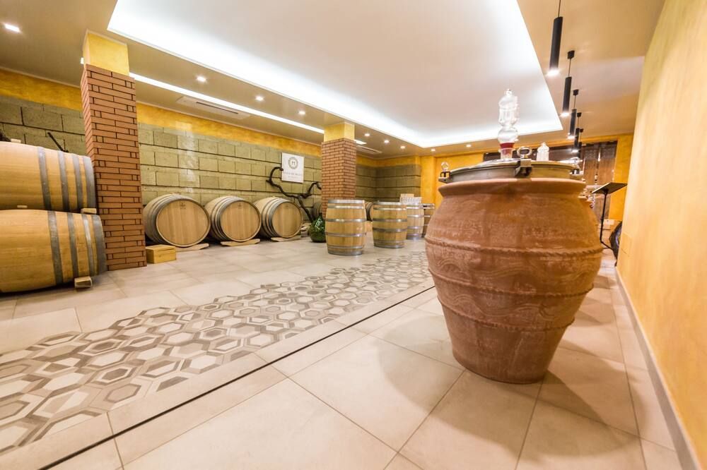 Resort & Winery Bosco De Medici - פומפיי - דלפק קבלה