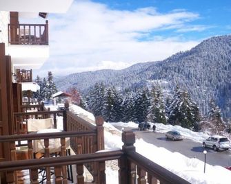 Hotel Magiossi - Neraidochori - Balcón