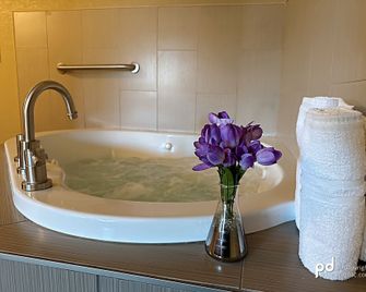 Travel Inn & Suites - Flemington