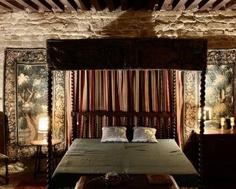 17th century manor house for a complete change of scenery - Mardilly - Habitación