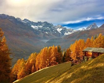 Le Petit Nid - Valtournenche