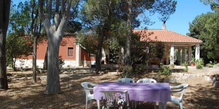 Image of hotel: COOEE Surf House and Hospitality
