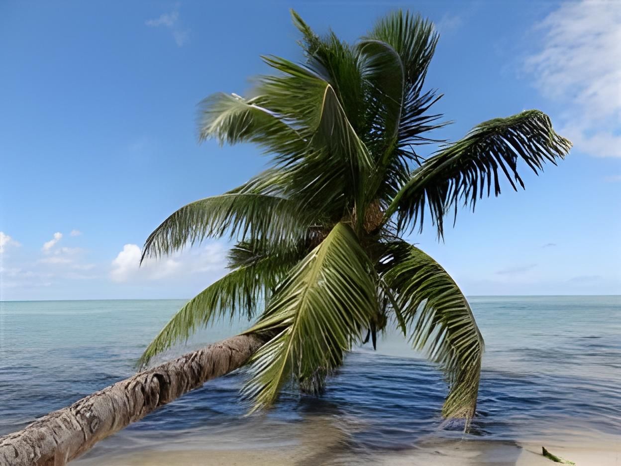 Hotel Club Paradise - Ile Sainte-Marie - Strand