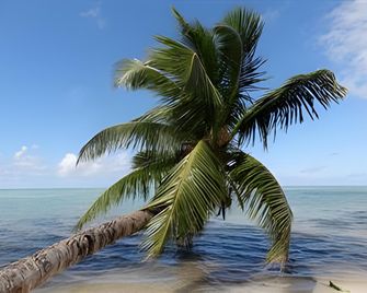 Hotel Club Paradise - Ile Sainte-Marie - Strand