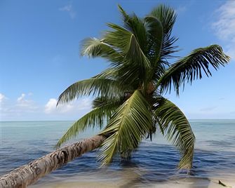 Hotel Club Paradise - Ile Sainte-Marie - Strand