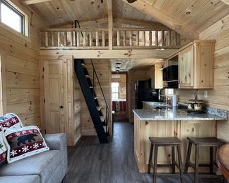 Cozy Bear Haven: Tiny Cabin, Incredible View! - Boone - Kitchen