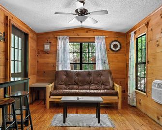 Rustic Cabin, Wifi, Hot Tub, Fireplace, Views! - Pittman Center - Living room