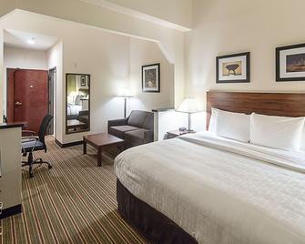 Quality Inn and Suites West Chase - Houston - Bedroom