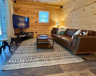 Cozy fireplace, indoor and outdoor games, records! - Lake Geneva - Living room