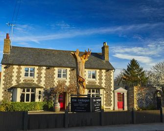 The Cadogan Arms - Bury St. Edmunds - Bina