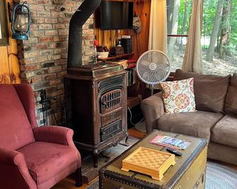 A beautiful lake view cabin on Friends Lake - Chestertown - Вітальня