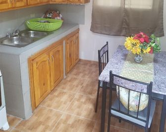 Vince's house - Pétionville - Kitchen