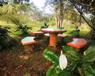 Beautifull farm apartment with small ranch full of nature. - San Ramón - Patio