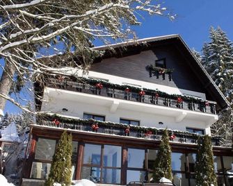 Boutique Villa Isabelle - Predeal - Building