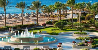 Baron Resort Sharm El Sheikh - שארם א-שייח' - בריכה
