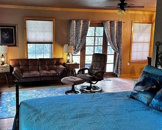 Studio type cabin with access to use of private park on the banks of the Animas. - Aztec - Sala de estar