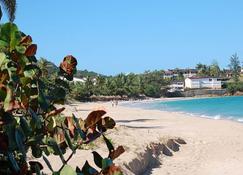 An Affordable Caribbean Gem To Enjoy Your Special Holiday On Antigua - Saint John's - Playa