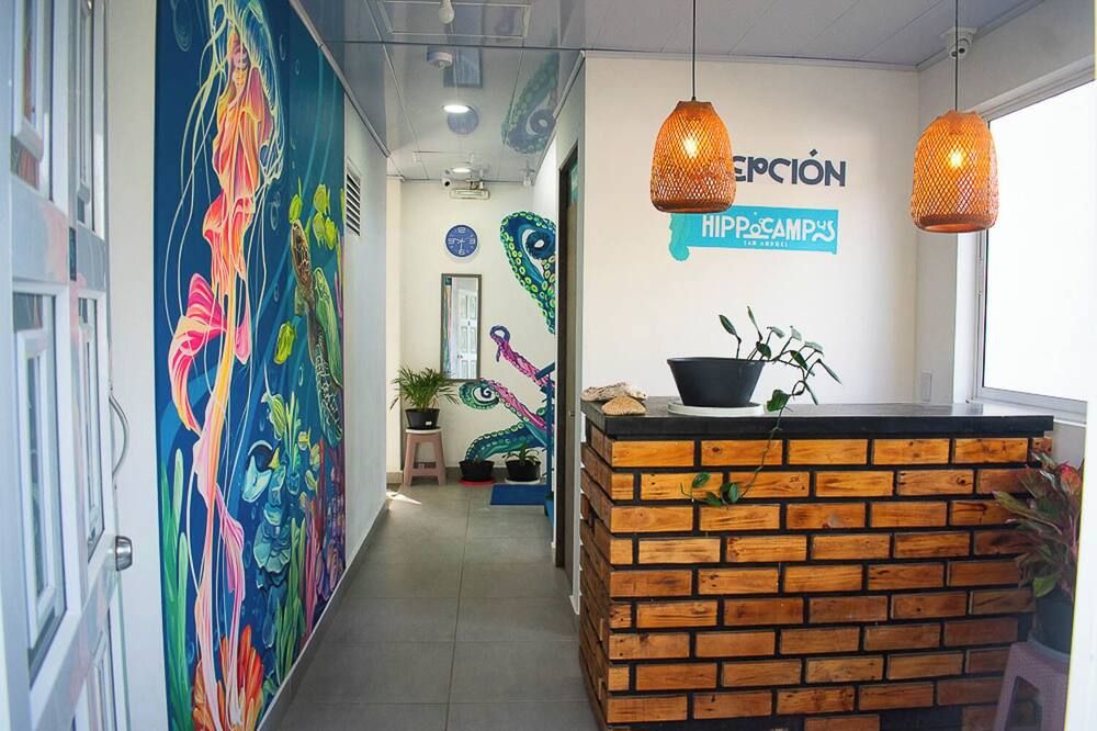 Sukha Hippocampus - La Loma - דלפק קבלה