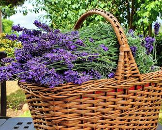 Ganzes Häuschen mit Fernblick - Remagen