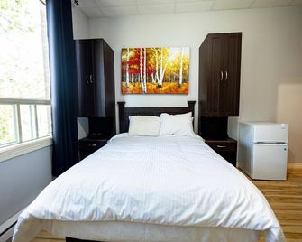 Loft Economique in the heart of Rouyn-Noranda (Le Citadin) - Rouyn-Noranda