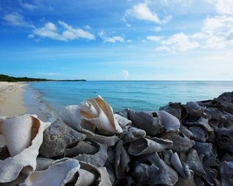 Hostel Auikyani - Cozumel - Playa