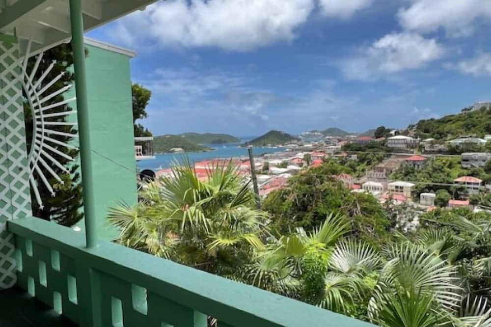 The Green Iguana Hotel - סנט תומאס - מרפסת