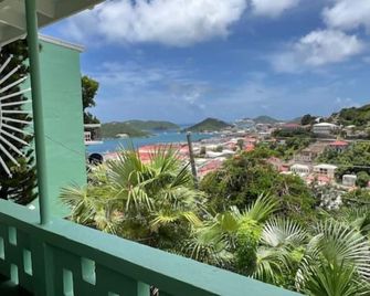 The Green Iguana Hotel - סנט תומאס - מרפסת