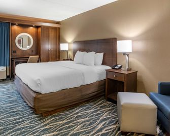 Comfort Inn & Suites Newark - Wilmington - Newark - Habitación